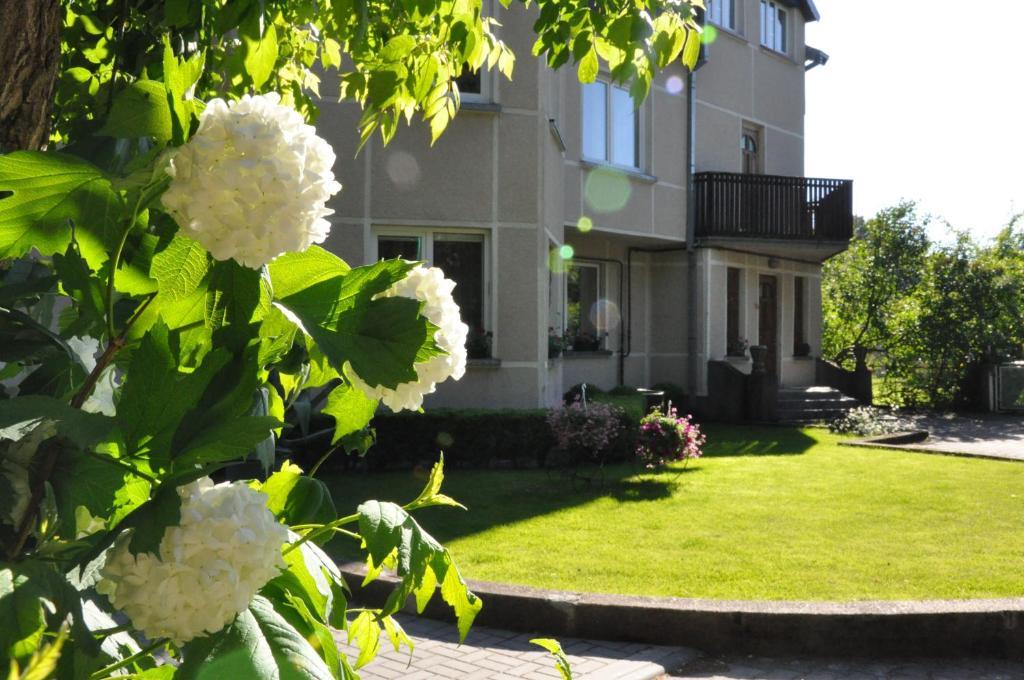 Hotel Elena Palanga Exterior foto